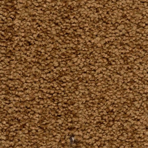 Homeline 27 Tapijt Palia 400 Cm Kleur 31