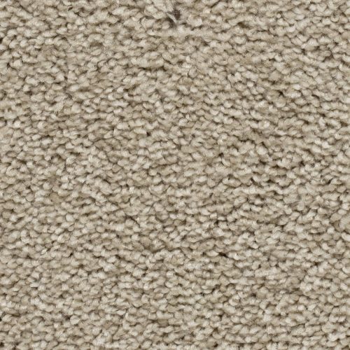 Homeline 27 Tapijt Palia 400 Cm Kleur 62