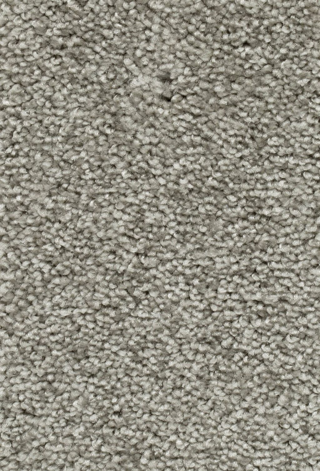 Homeline 27 Tapijt Palia 400 Cm Kleur 68