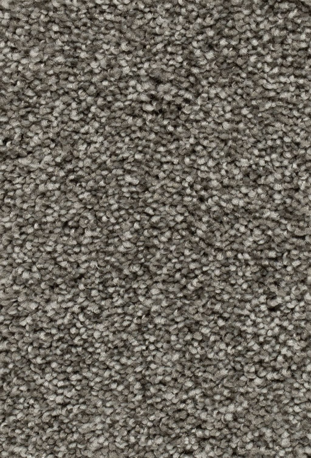 Homeline 27 Tapijt Palia 400 Cm Kleur 74