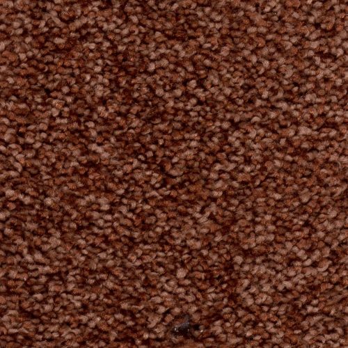 Homeline 27 Tapijt Palia 500 Cm Kleur 35