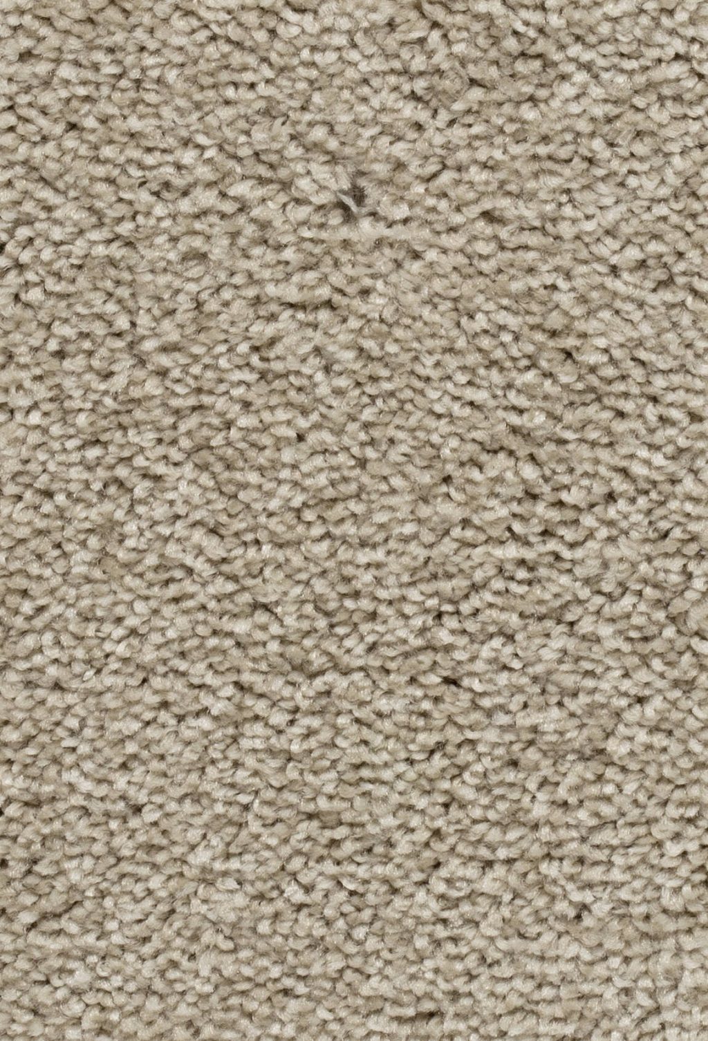 Homeline 27 Tapijt Palia 500 Cm Kleur 62