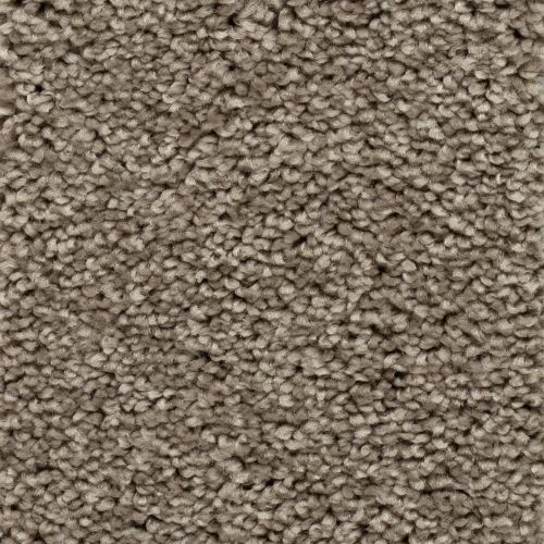 Homeline 27 Tapijt Palia 500 Cm Kleur 65