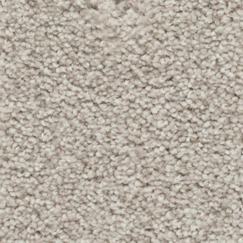 Homeline 27 Tapijt Palia 500 Cm Kleur 71