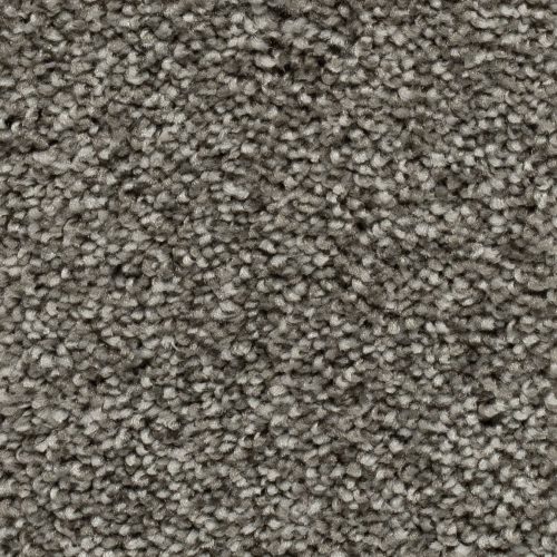 Homeline 27 Tapijt Palia 500 Cm Kleur 74