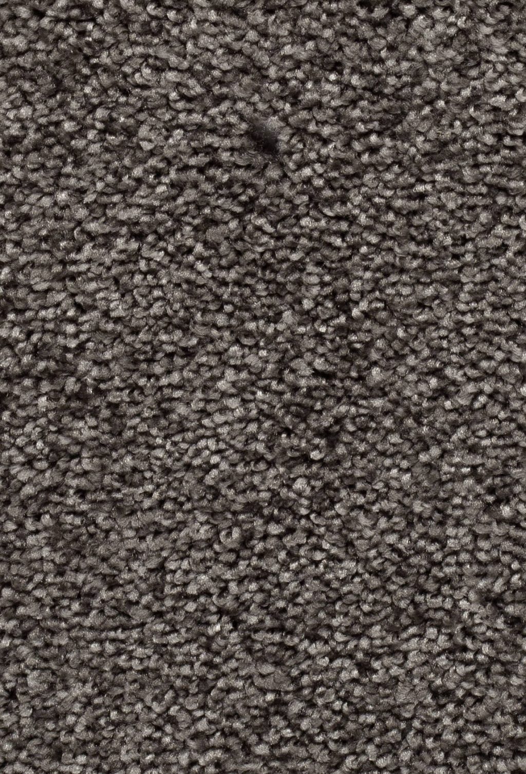 Homeline 27 Tapijt Palia 500 Cm Kleur 77