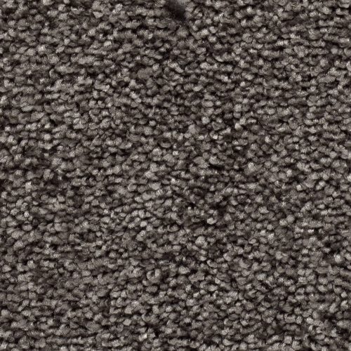 Homeline 27 Tapijt Palia 500 Cm Kleur 77