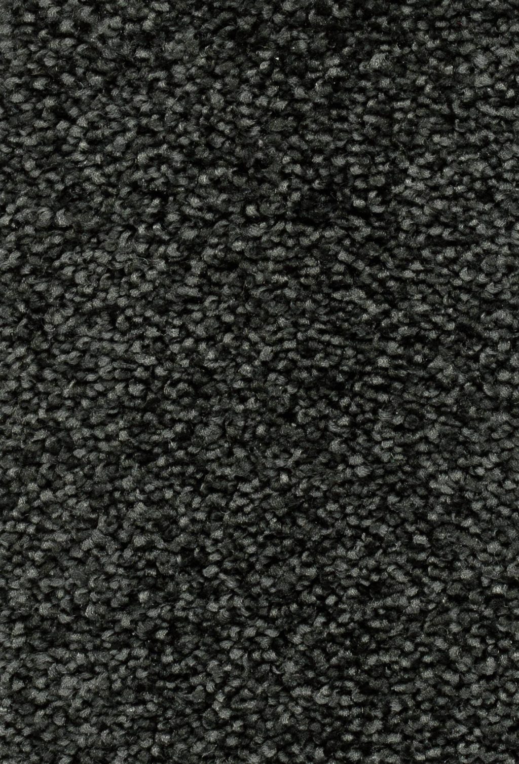 Homeline 27 Tapijt Palia 500 Cm Kleur 79