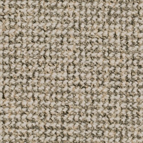 Homeline 27 Tapijt Para 500 Cm Kleur 31