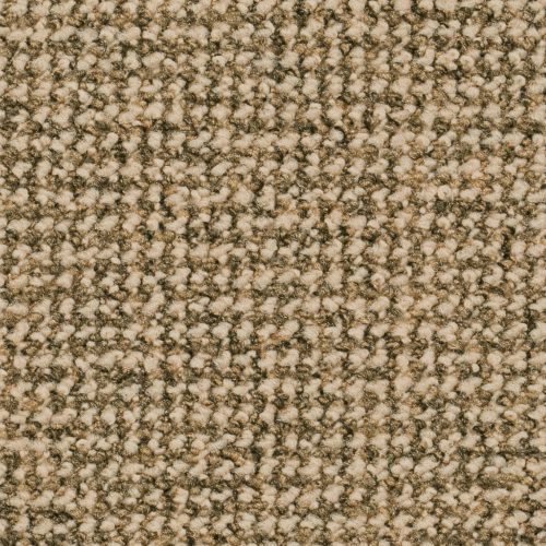 Homeline 27 Tapijt Para 500 Cm Kleur 53