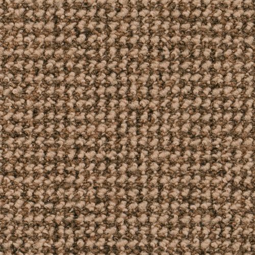 Homeline 27 Tapijt Para 500 Cm Kleur 64