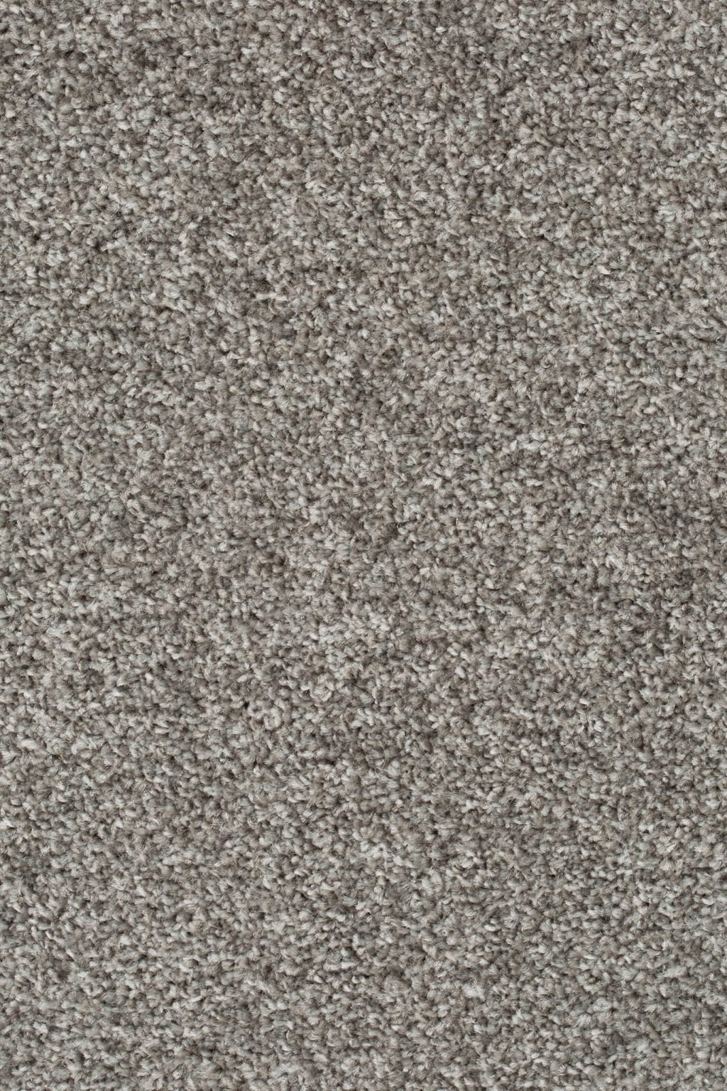 Homeline 27 Tapijt Pilar 400cm Kleur 176