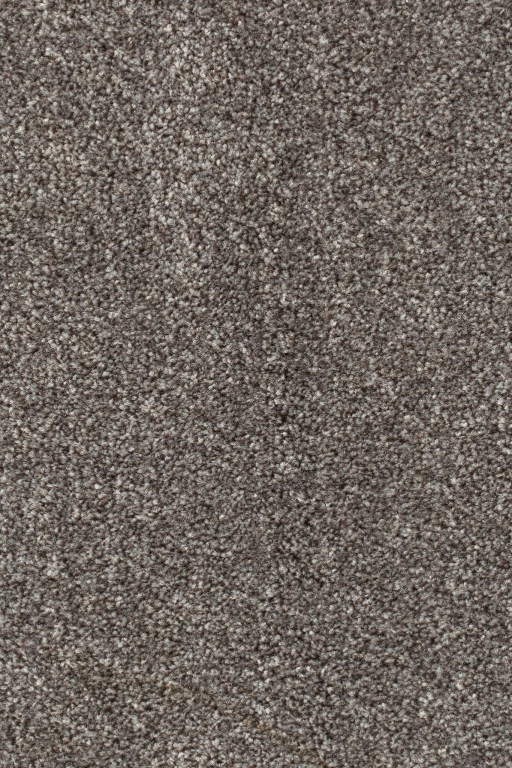 Homeline 27 Tapijt Pilar 400cm Kleur 190