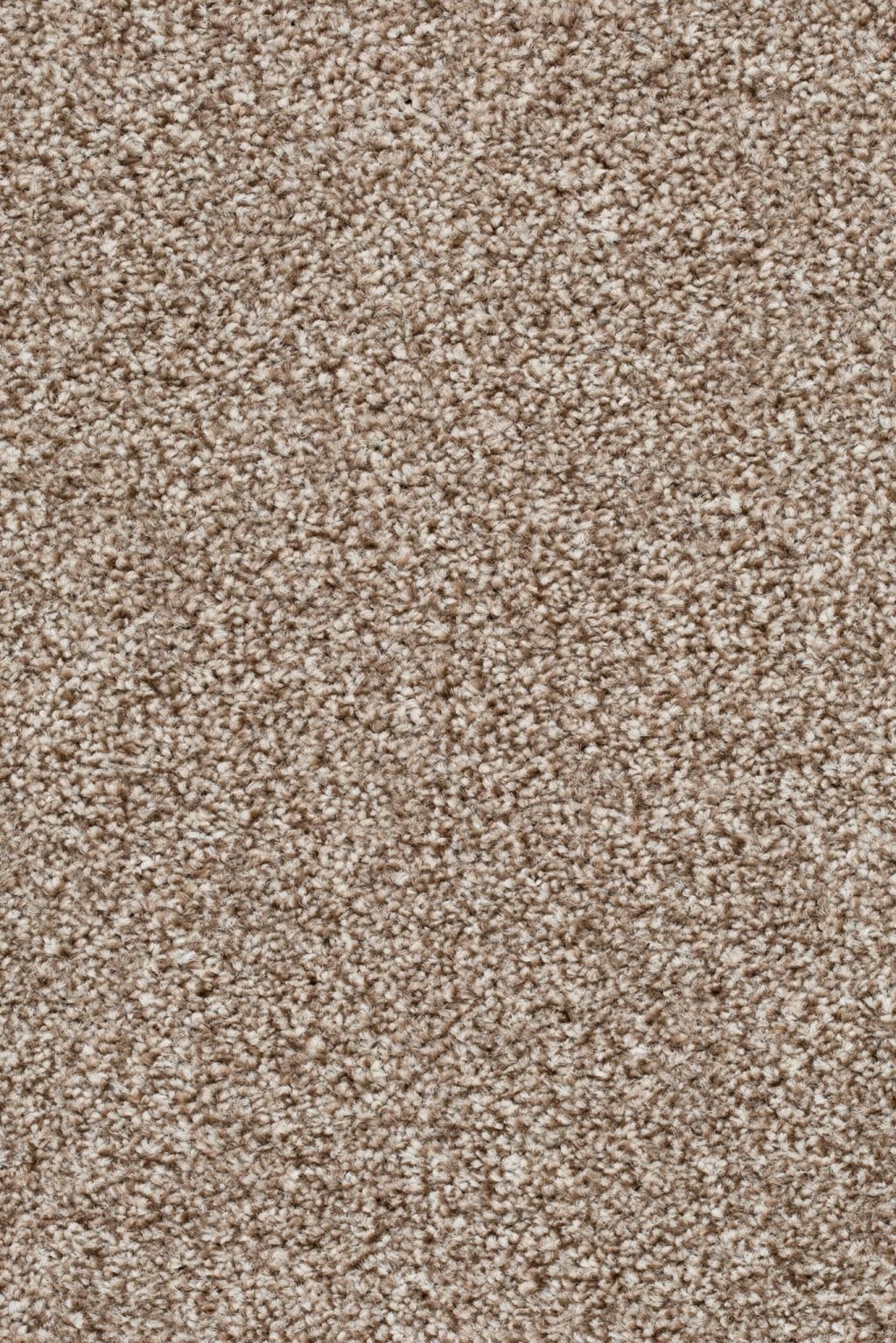 Homeline 27 Tapijt Pilar 400cm Kleur 90