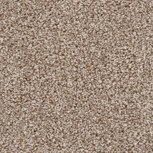 Homeline 27 Tapijt Pilar 400cm Kleur 90