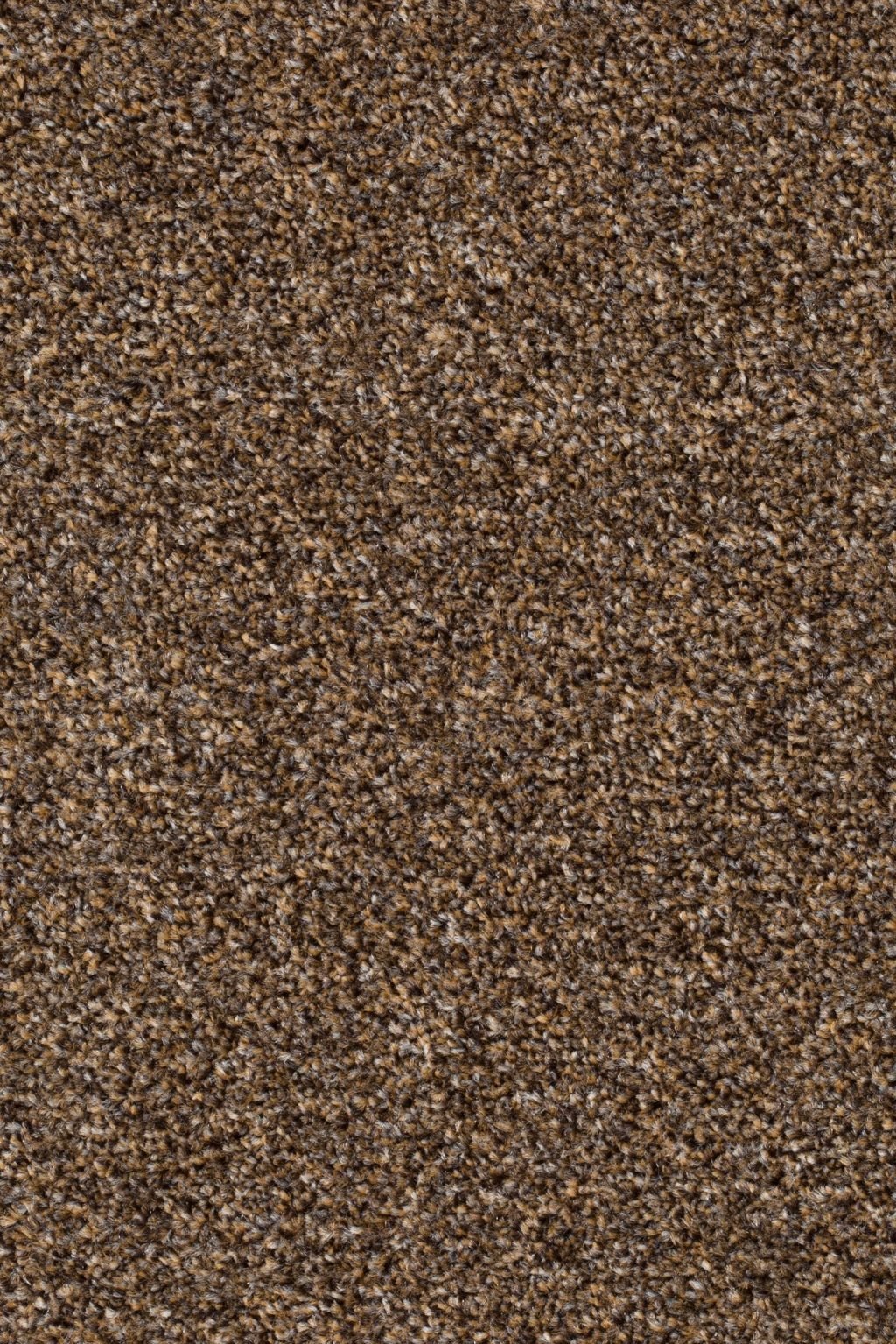 Homeline 27 Tapijt Pilar 400cm Kleur 91