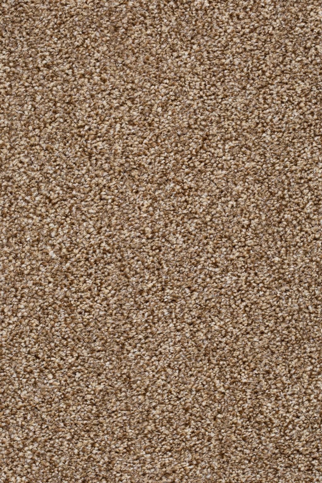 Homeline 27 Tapijt Pilar 400cm Kleur 92