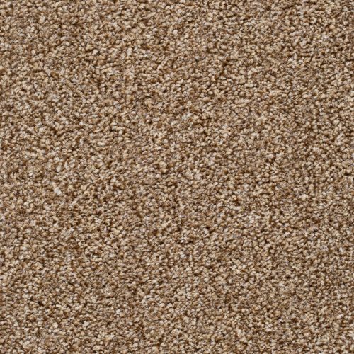 Homeline 27 Tapijt Pilar 400cm Kleur 92