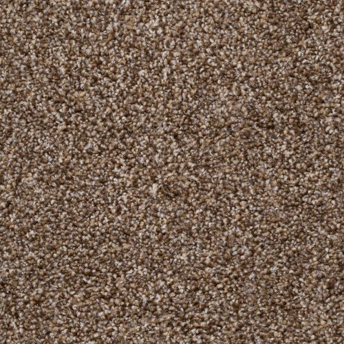 Homeline 27 Tapijt Pilar 400cm Kleur 93