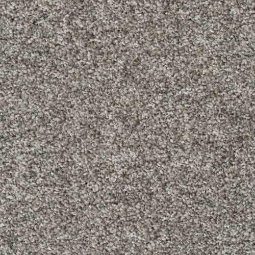 Homeline 27 Tapijt Pilar 500cm Kleur 176