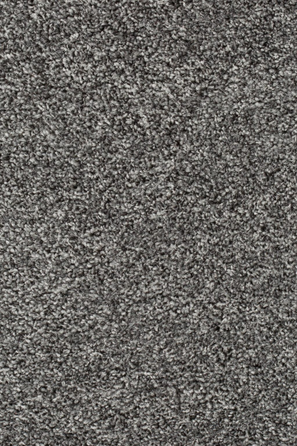 Homeline 27 Tapijt Pilar 500cm Kleur 177