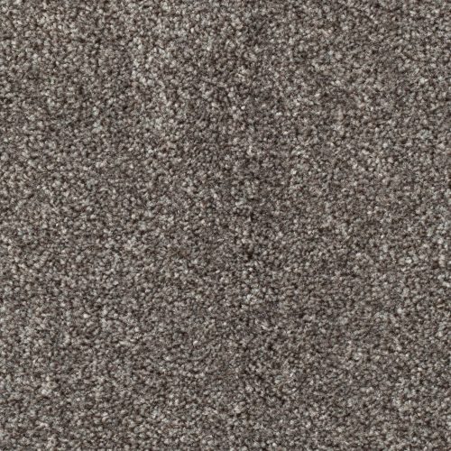 Homeline 27 Tapijt Pilar 500cm Kleur 190