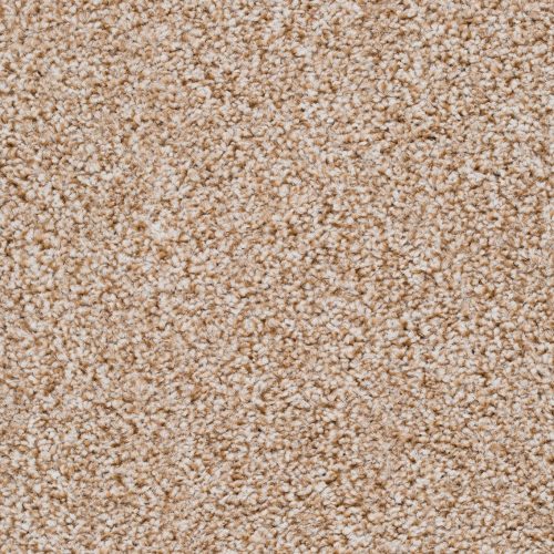 Homeline 27 Tapijt Pilar 500cm Kleur 72