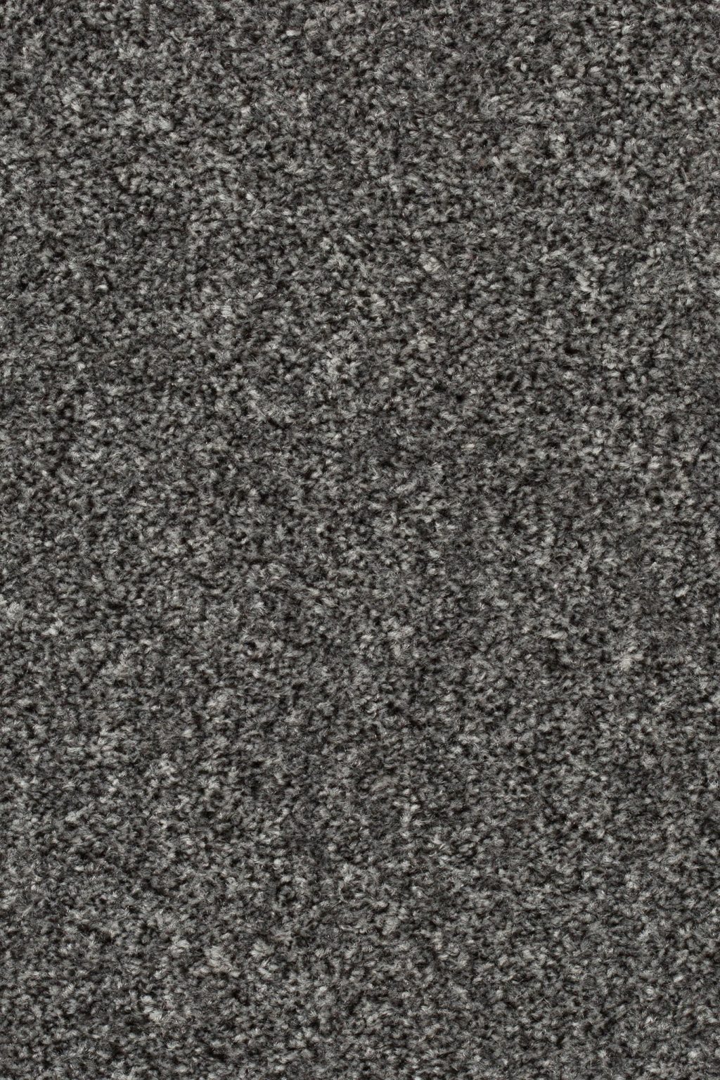 Homeline 27 Tapijt Pilar 500cm Kleur 75