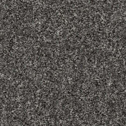 Homeline 27 Tapijt Pilar 500cm Kleur 75