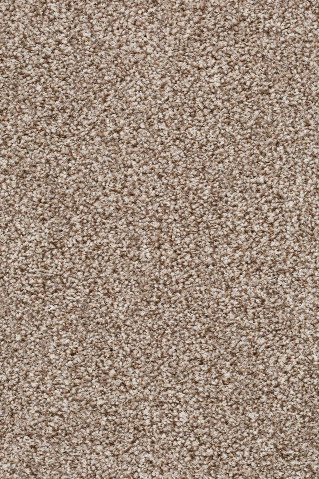 Homeline 27 Tapijt Pilar 500cm Kleur 90