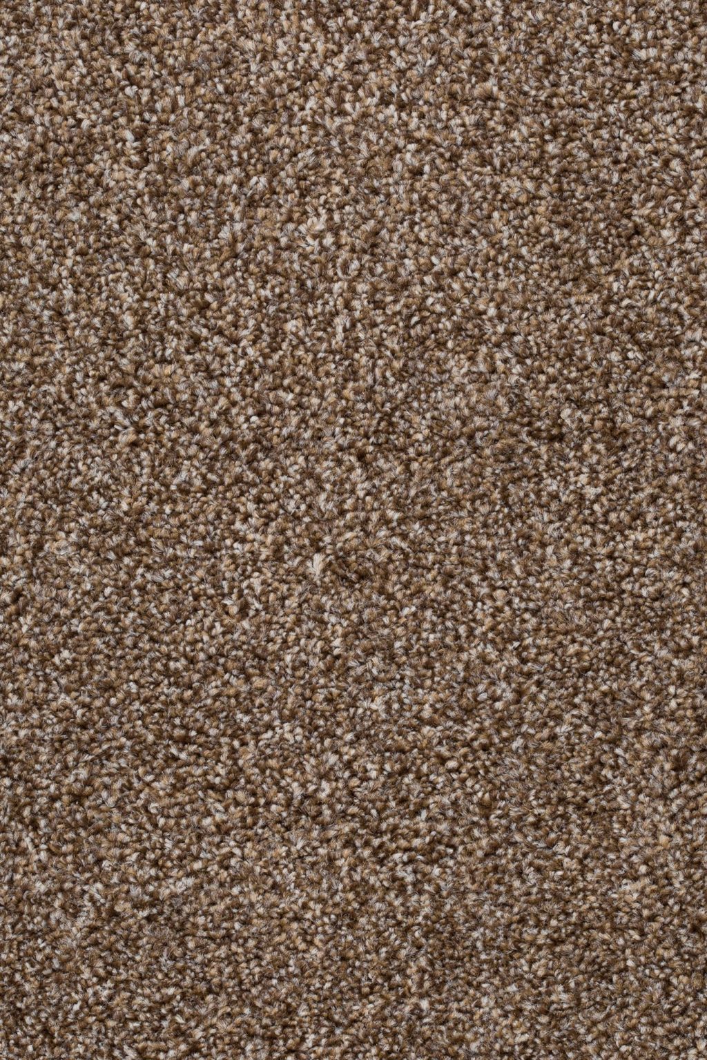 Homeline 27 Tapijt Pilar 500cm Kleur 93