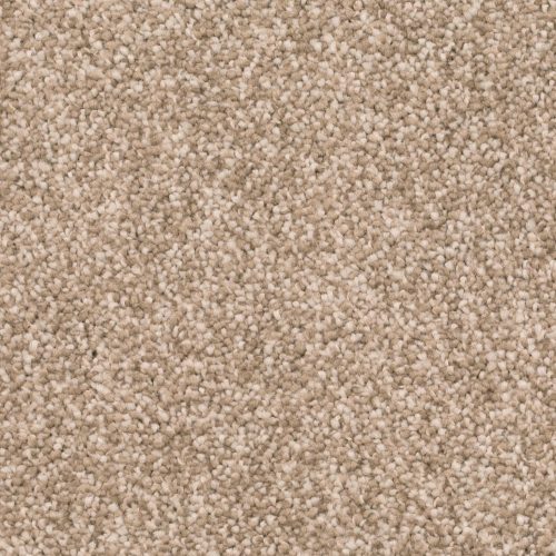 Homeline 27 Tapijt Rival 500 Cm Kleur 72