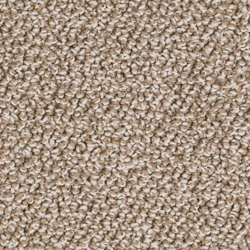 Homeline 27 Tapijt Siro 400 Cm Kleur 36