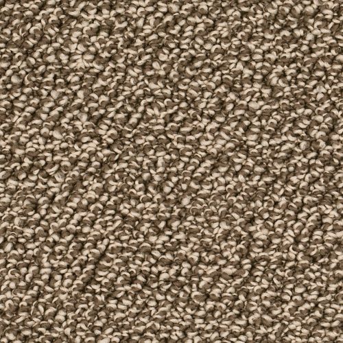 Homeline 27 Tapijt Siro 400 Cm Kleur 45