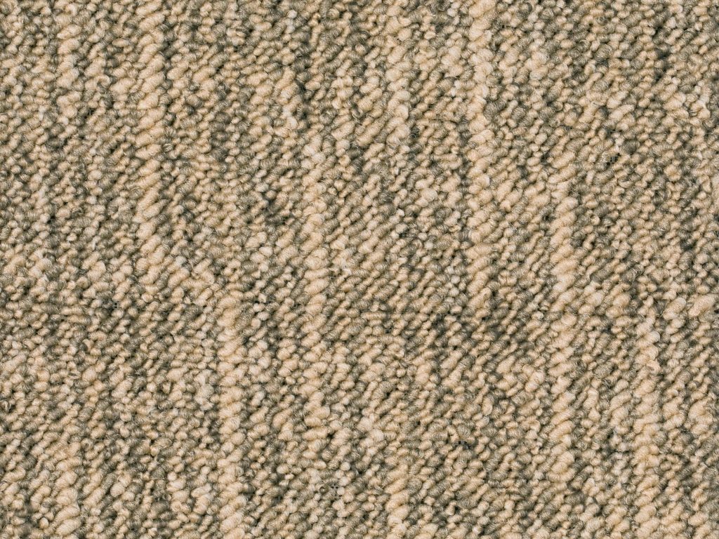 Homeline 27 Tapijt Tallin 500 Cm Kleur 63