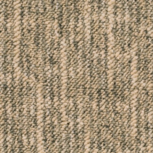 Homeline 27 Tapijt Tallin 500 Cm Kleur 63