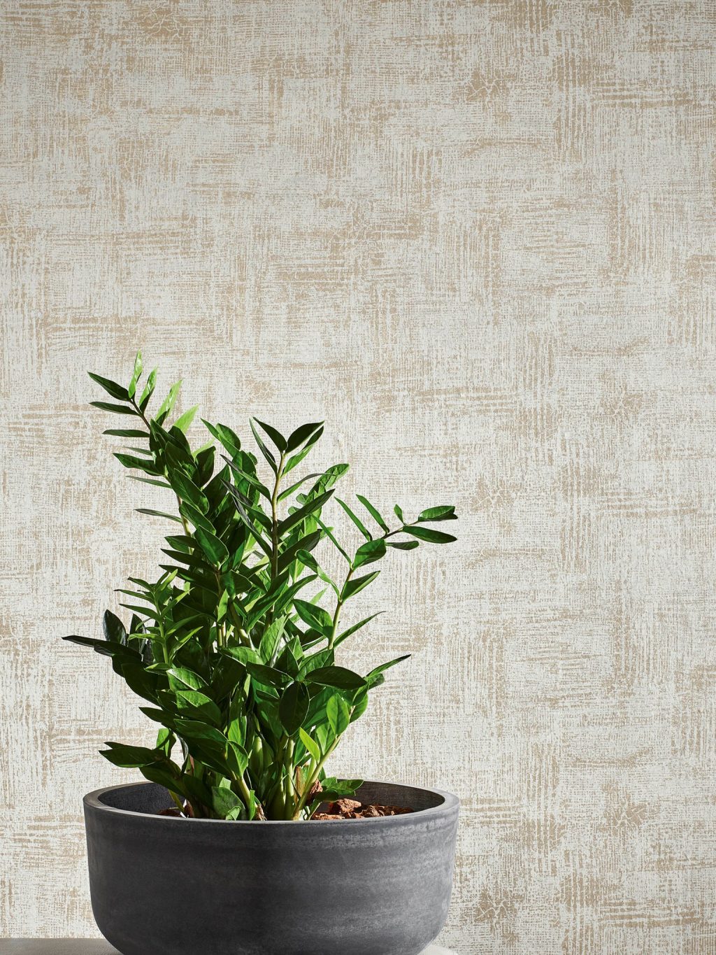 Joka Behang Tap19313 Evolution Ii 2024 Breedte 100 Cm 1