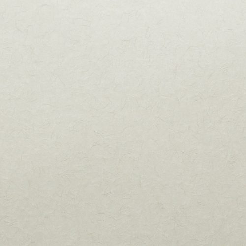 Joka Behang Tap19345 Evolution Ii 2024 Breedte 100 Cm