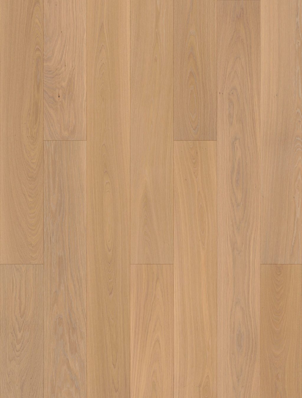 Joka Classic Calgary 435 Ld Ds 3 5 Mm E0214 Eiken Cremeelegance Olv4 Pak A 2 442 M2