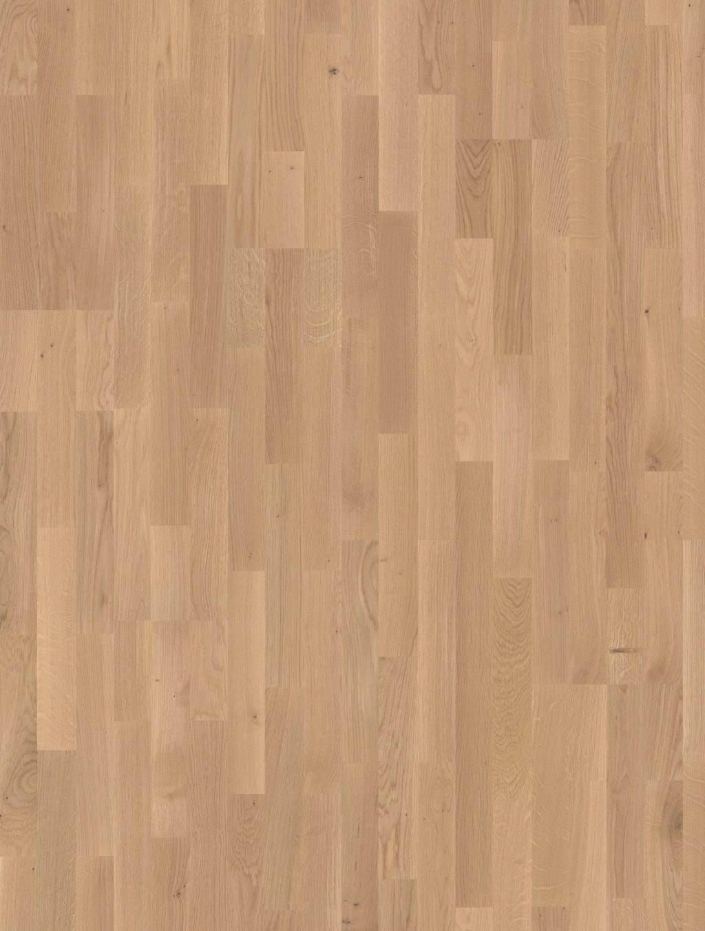 Joka Classic Kingston 435 Sb Ds 3 5 Mm E3808 Eiken Alpinnature Vm 208 Pak A 2 746 M2