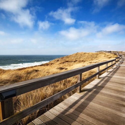 Joka Fotobehang P100 400 Cm Br X 267 Cm Hg 130 Grams Vlies Mat