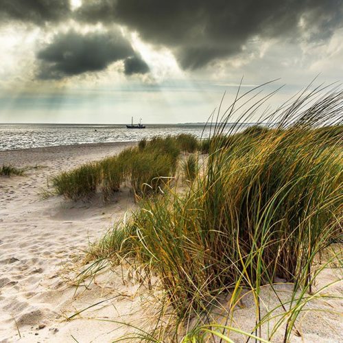 Joka Fotobehang P102 400 Cm Br X 267 Cm Hg 130 Grams Vlies Mat