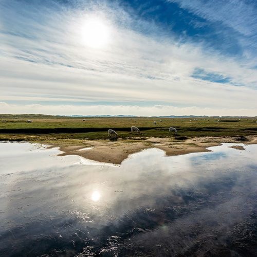 Joka Fotobehang P103 400 Cm Br X 267 Cm Hg 200 Grams Vlies