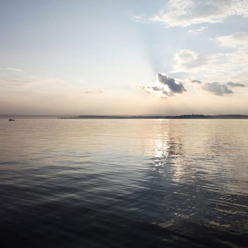 Joka Fotobehang P104 400 Cm Br X 267 Cm Hg 300 Grams Structuur