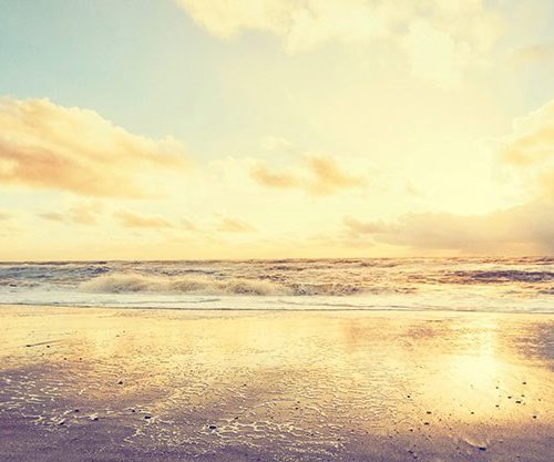 Joka Fotobehang P105 400 Cm Br X 267 Cm Hg 130 Grams Vlies Mat