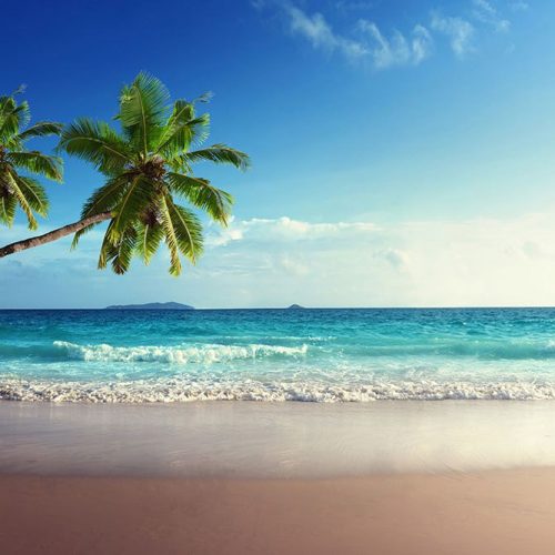 Joka Fotobehang P111 400 Cm Br X 267 Cm Hg 130 Grams Vlies Mat