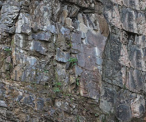 Joka Fotobehang P118 400 Cm Br X 267 Cm Hg 130 Grams Vlies Mat