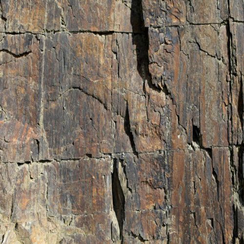 Joka Fotobehang P119 400 Cm Br X 267 Cm Hg 130 Grams Vlies Mat