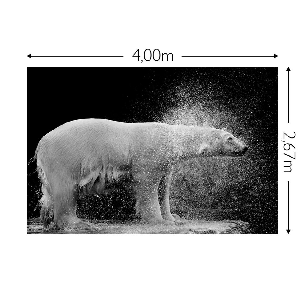 Joka Fotobehang P178 400 Cm Br X 267 Cm Hg 200 Grams Vlies 1