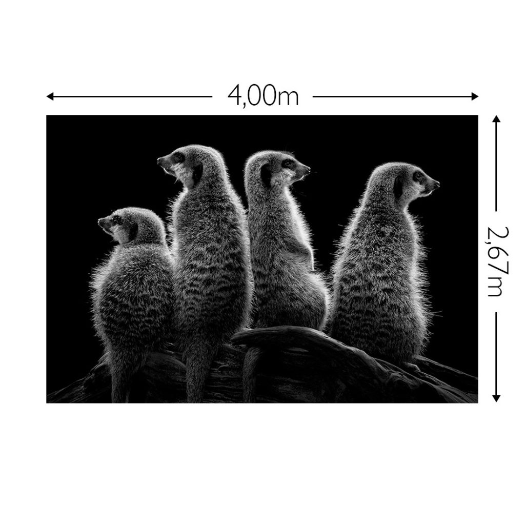 Joka Fotobehang P179 400 Cm Br X 267 Cm Hg 300 Grams Structuur 1